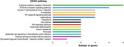 Gene Expression Profile in Immortalized Human Periodontal Ligament Fibroblasts Through hTERT Ectopic Expression: Transcriptome and Bioinformatic Analysis